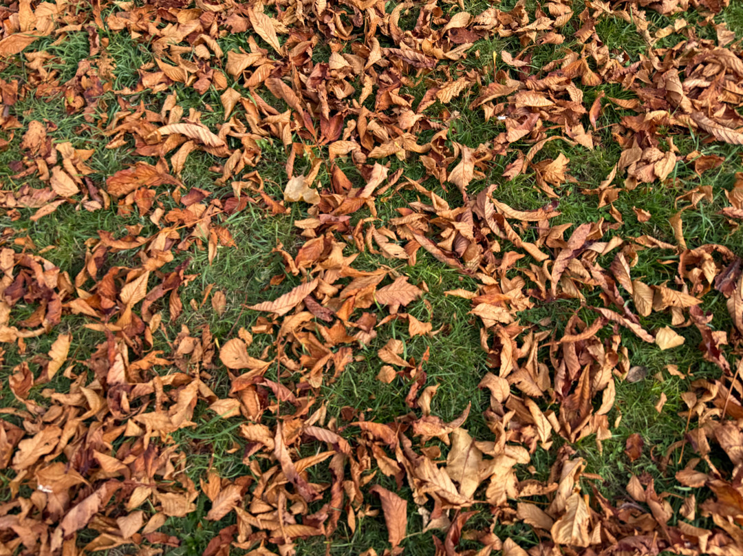 Esplanade Gardens-罗契斯特必去景点