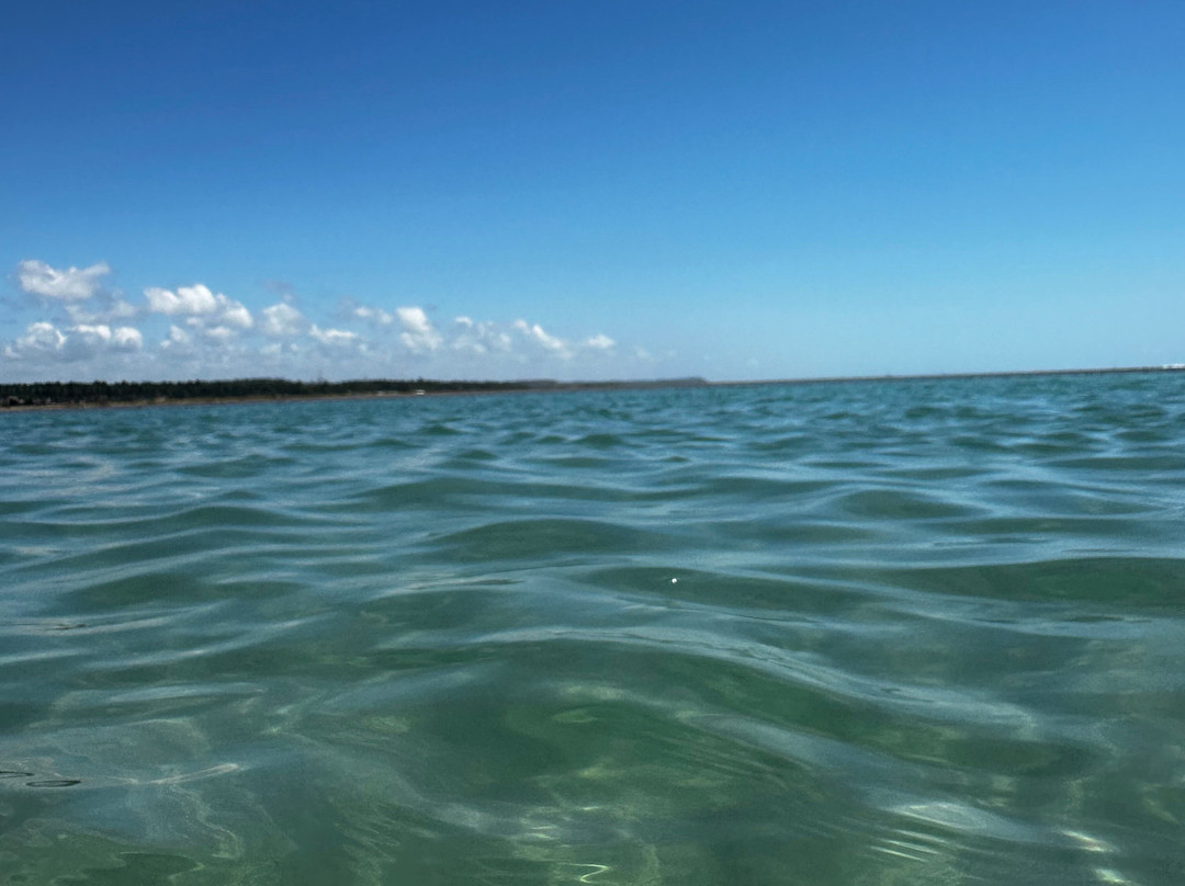Passeio do Patacho - Agência de Turismo-Porto de Pedras必去景点