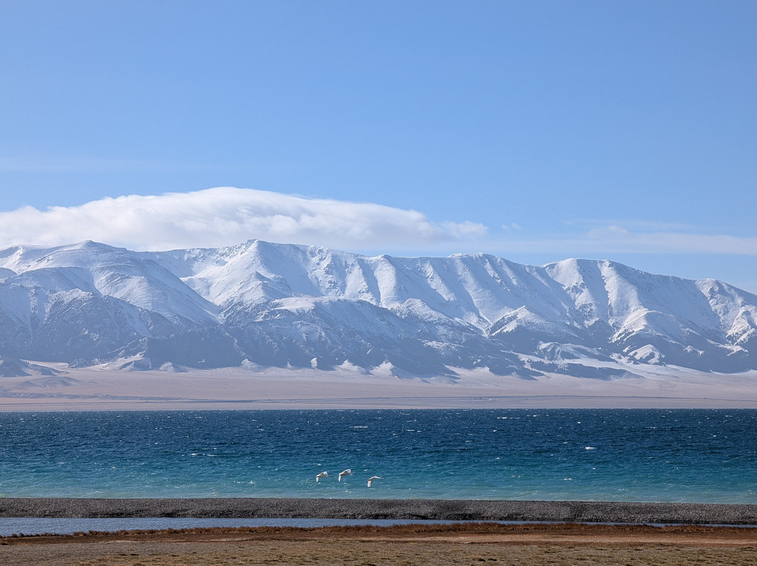 Silk Road Travel-乌鲁木齐市必去景点