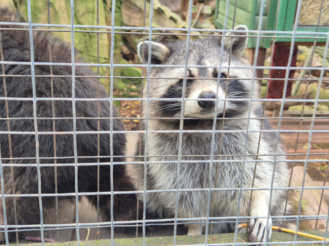 Tropiquaria Zoo-Washford必去景点