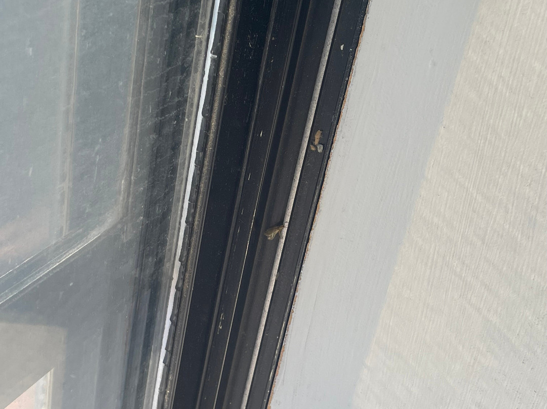 奥尔巴尼希尔顿酒店主图