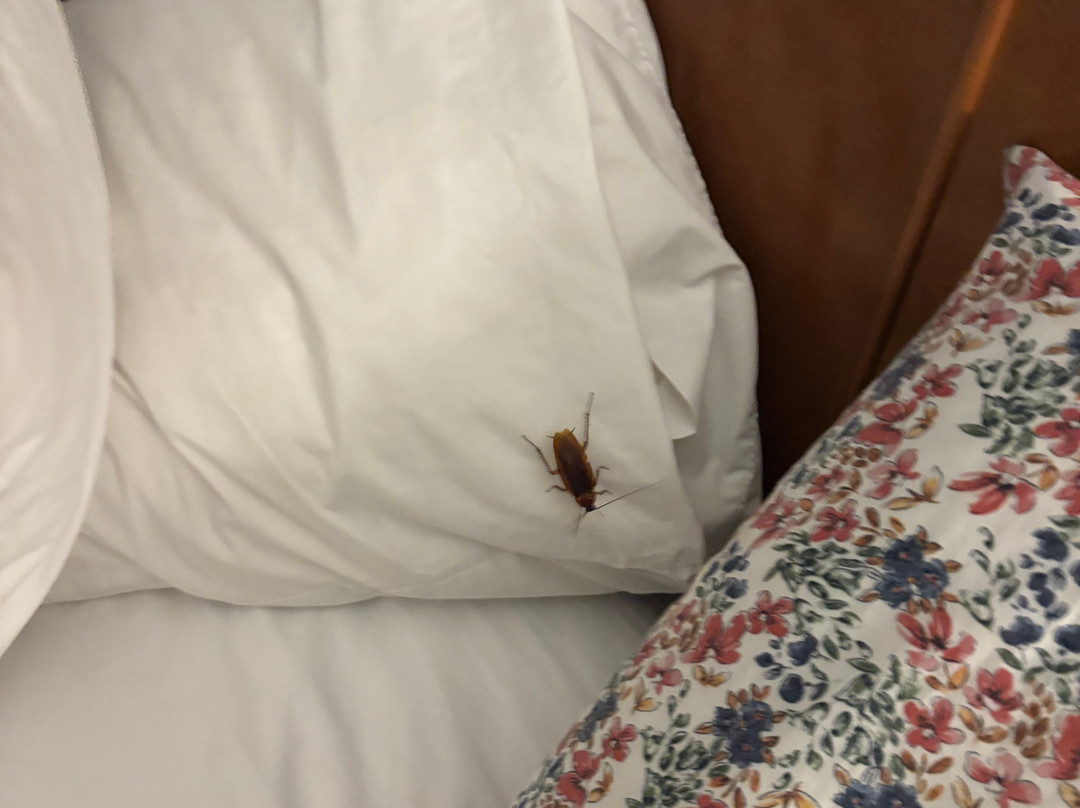 Hampton Inn & Suites El Paso-Airport主图