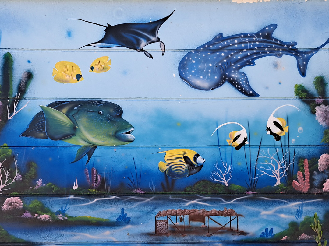 ORCA Dive Club Coral Garden-Safaga必去景点