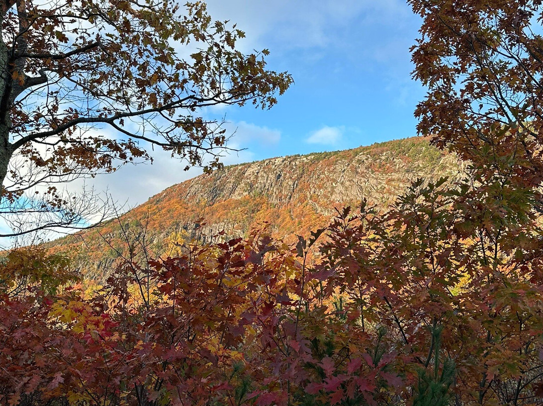 Acadia National Park-巴港必去景点