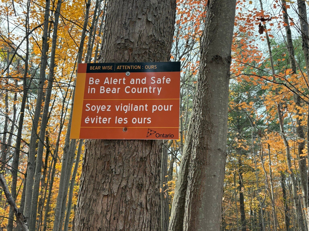 Kahshe Barrens Trail-格雷文赫斯特必去景点