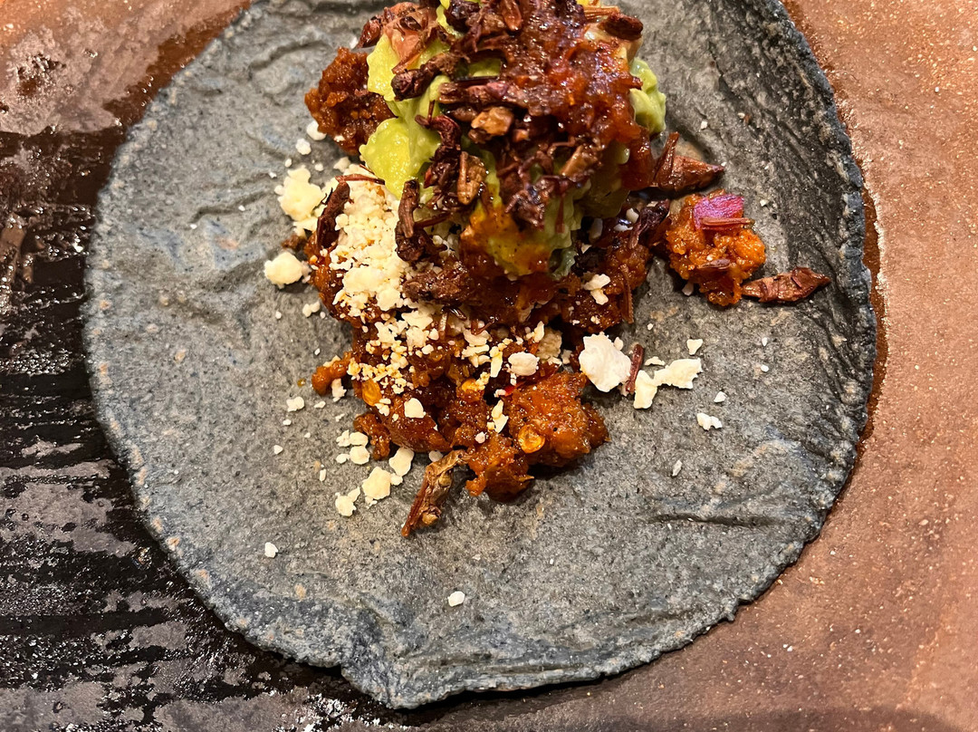 Casa Jacaranda-墨西哥城必去景点