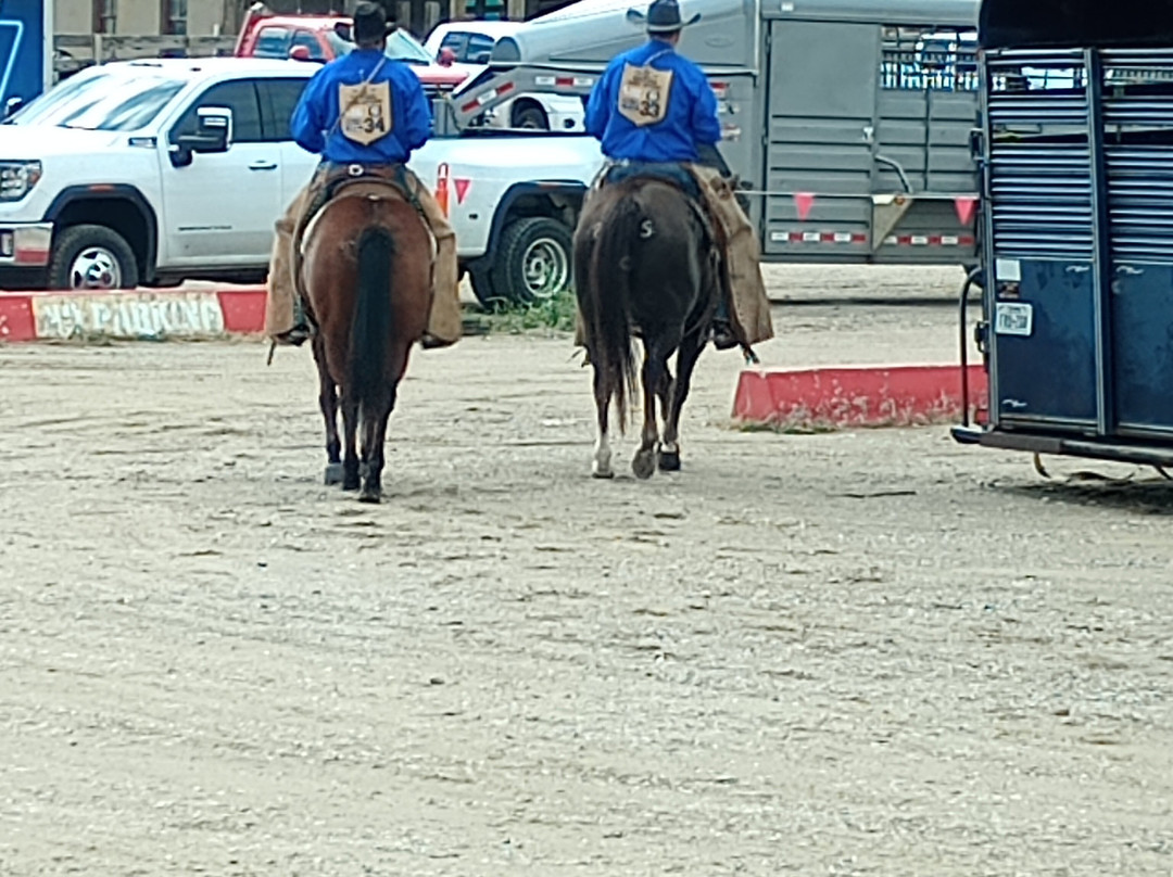 Fort Worth Stockyard Stables-沃思堡必去景点