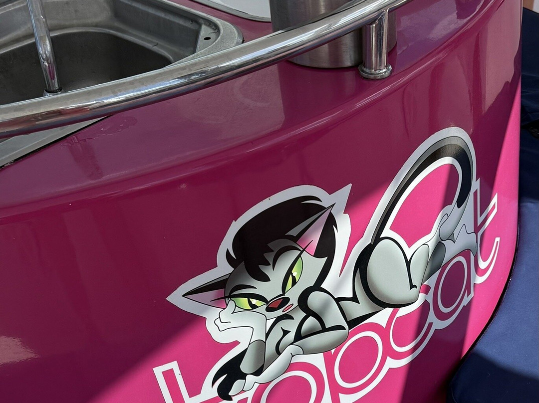 TOPCAT Cruises-大湾必去景点