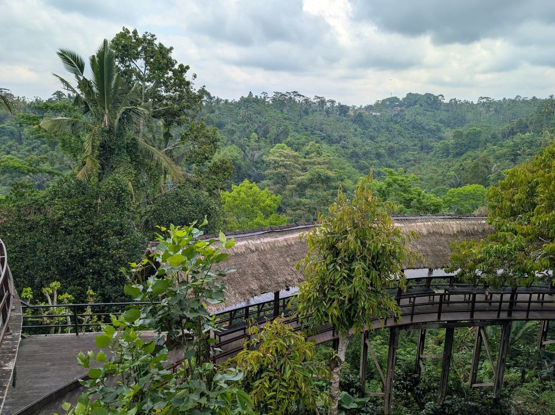 OKA Agriculture Bali-Bangli必去景点