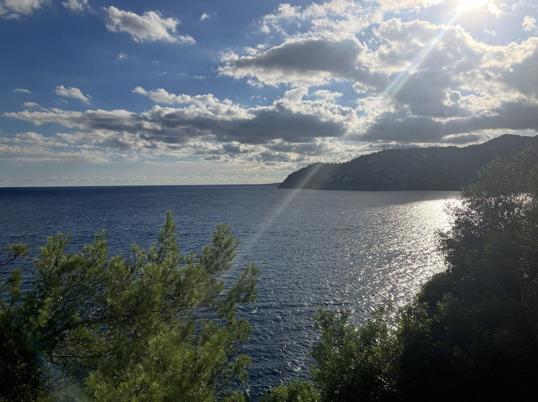 Bugs Buggy Mallorca Adventure-Cala Ratjada必去景点