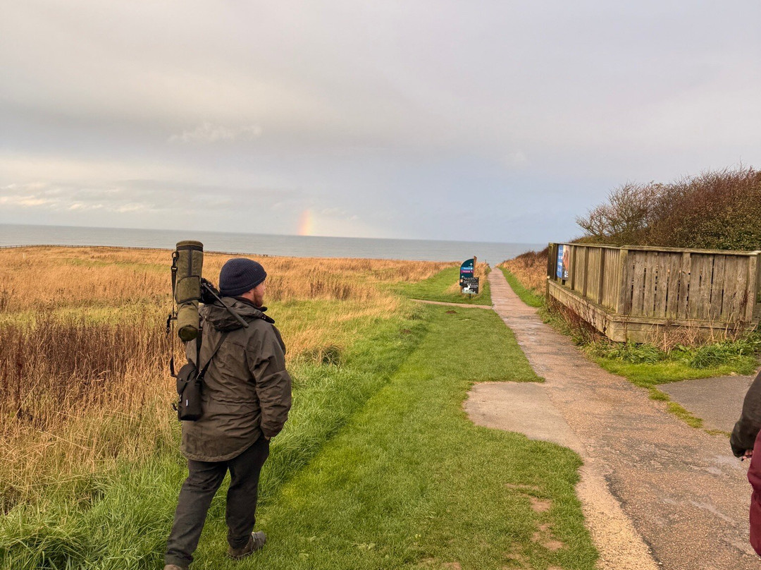Rspb Bempton Cliffs-Bempton必去景点