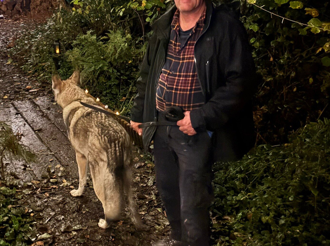 Watermill Wolves Wolf-dog Actors-Bexhill-on-Sea必去景点