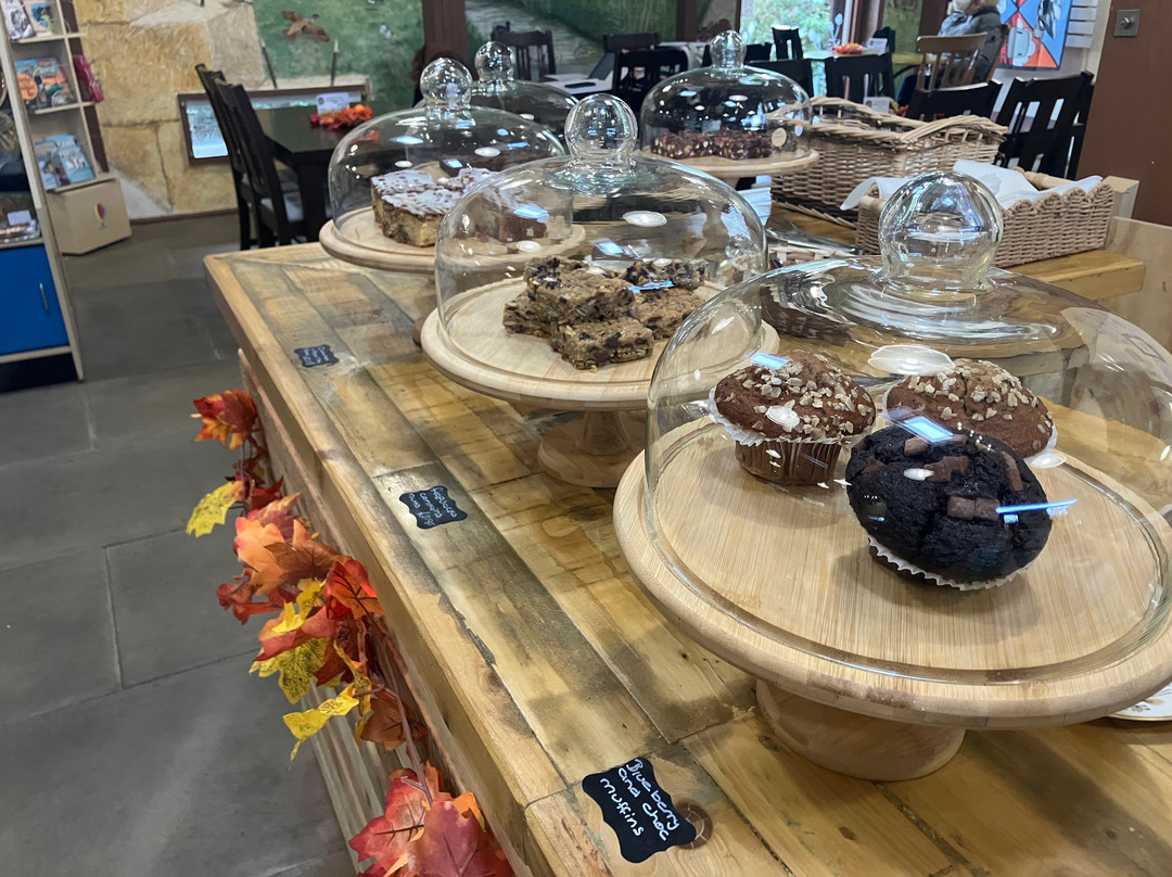 Romney Marsh Visitor Centre-New Romney必去景点