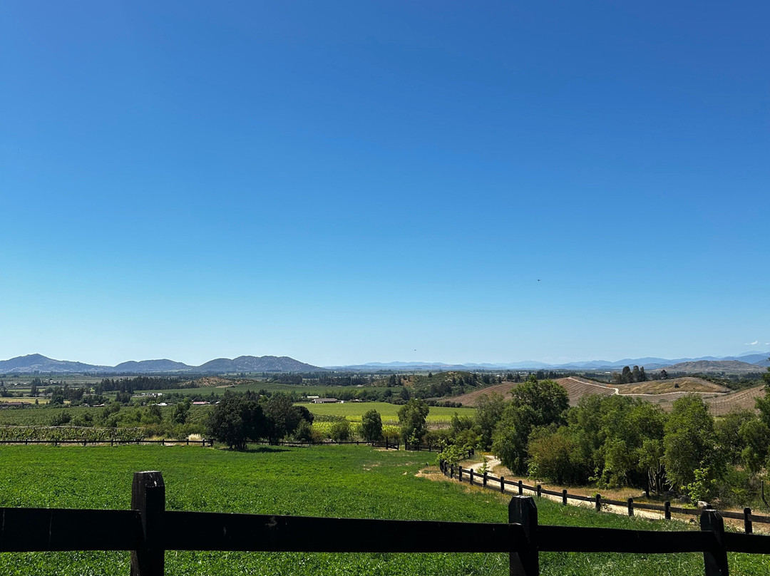 Viña Encierra-Peralillo必去景点