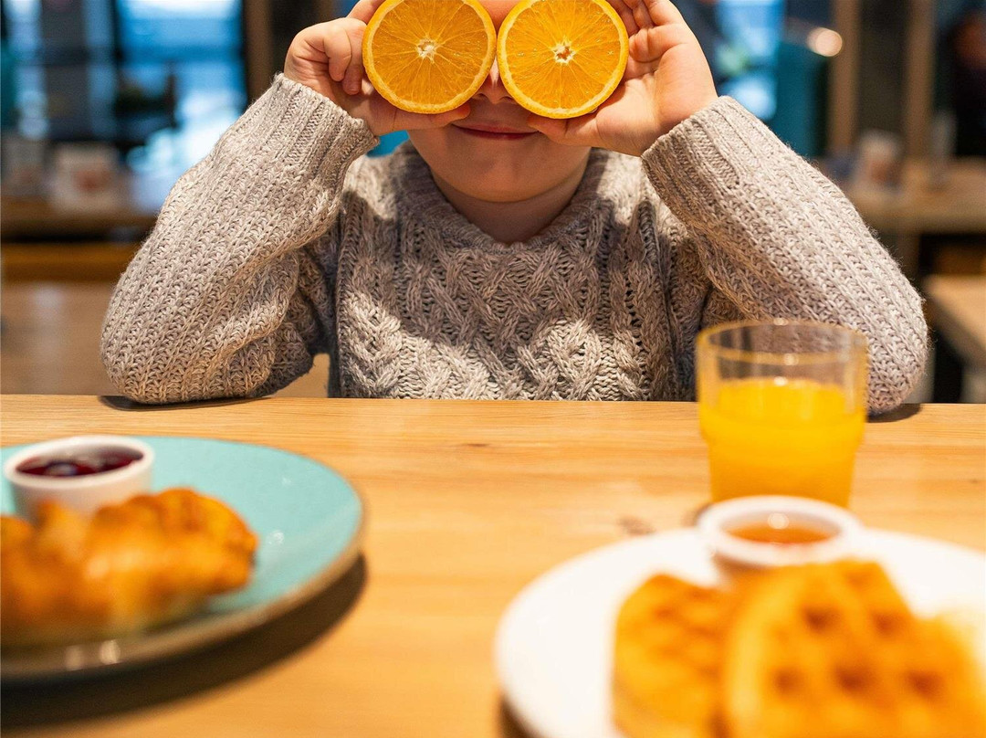 Grudziadz酒店住宿-宜必思尚品格鲁琼兹酒店
