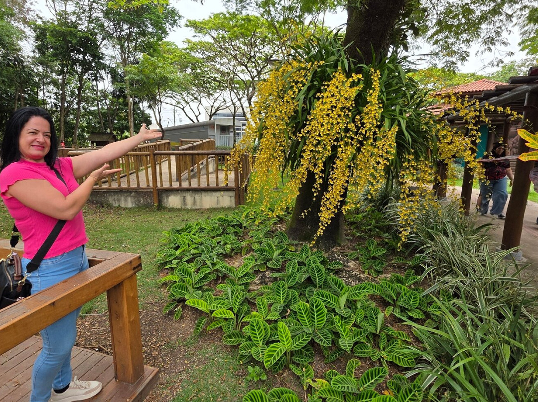 Parque Botânico Vale-维多利亚必去景点