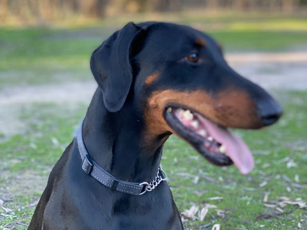 Gradient Art Studio-杰伊瑟尔梅尔必去景点