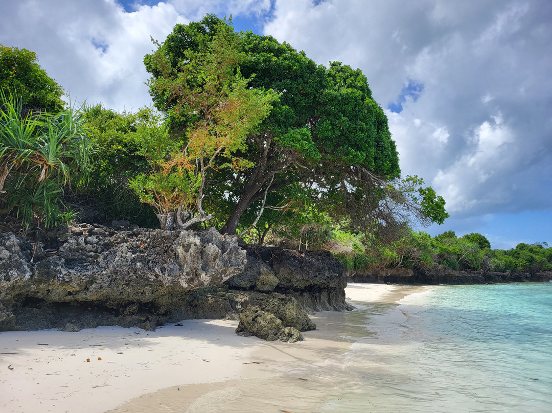 Afro Divers-奔巴岛必去景点