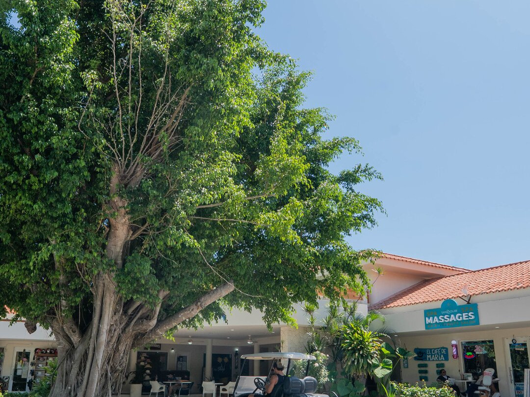 Puerto Aventuras-阿范特拉斯港必去景点