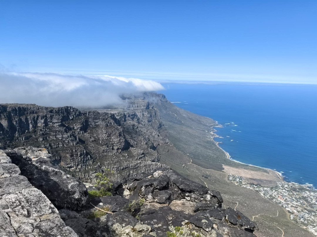 African Experience-Vredehoek必去景点