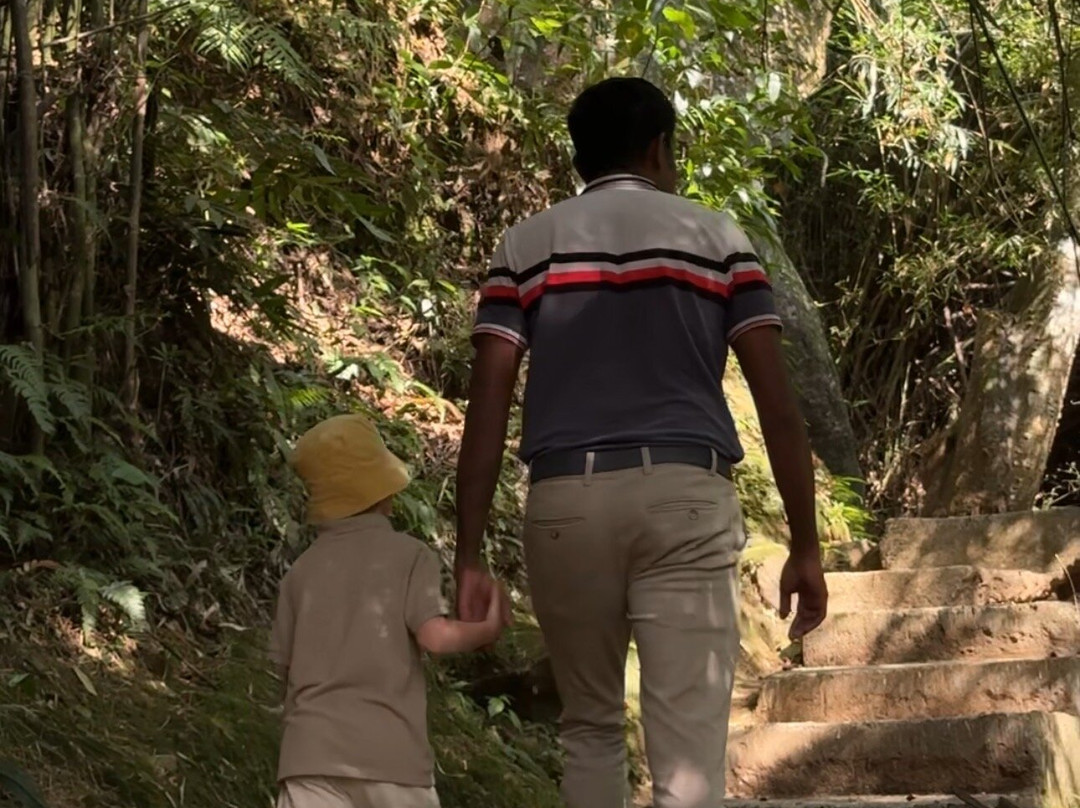 Sri Lankan Personal Drivers-科伦坡必去景点