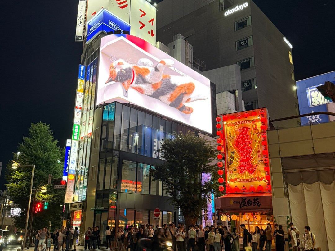 Giant 3d Cat Display Billboard-Shinjuku 3 Chome必去景点