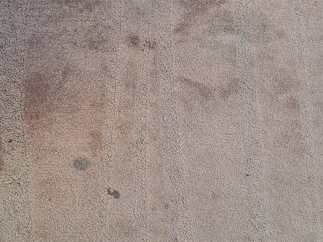 Hôtel Les Flots主图