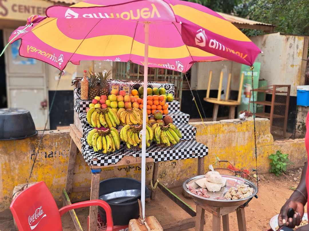 Gambia and Senegal tours with Ebrima-Tanji必去景点