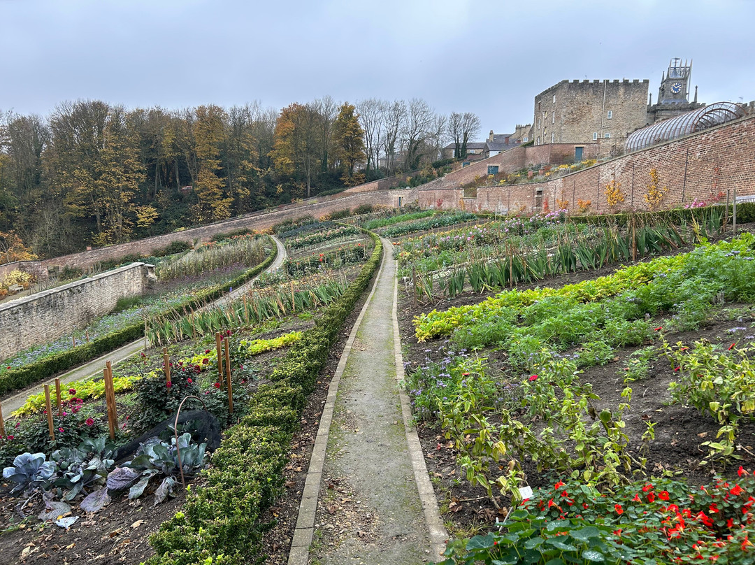 The Auckland Project-Bishop Auckland必去景点