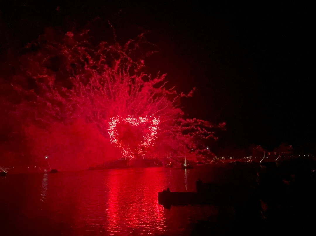 Luminous: The Symphony of Us-Bay Lake必去景点