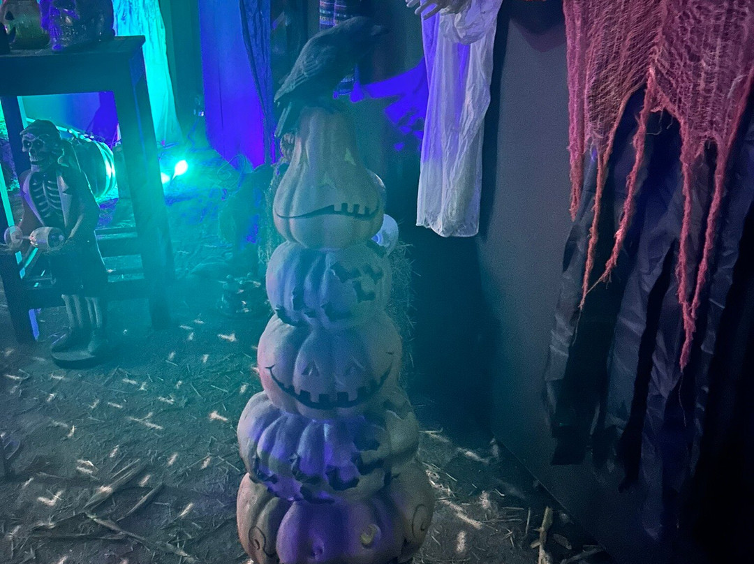 Pumpkin Time @ Sunnyfields Farm-Totton必去景点