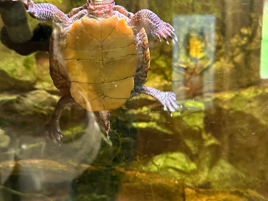 Shaver's Creek Environmental Center-Petersburg必去景点