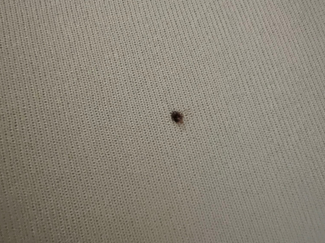 Twin Oaks Motel主图