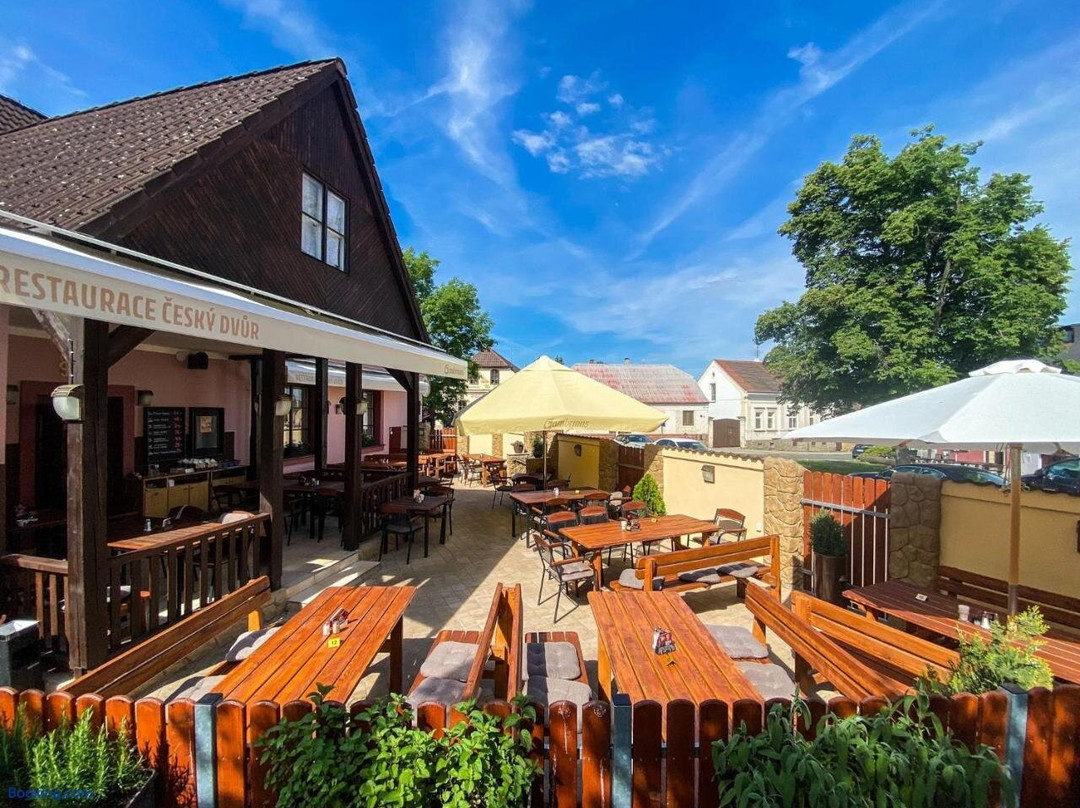 Penzion Cesky Dvur主图