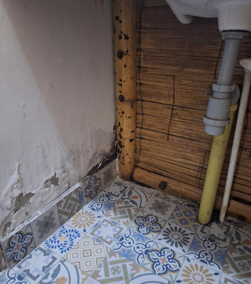 生态酒店特拉贝拉