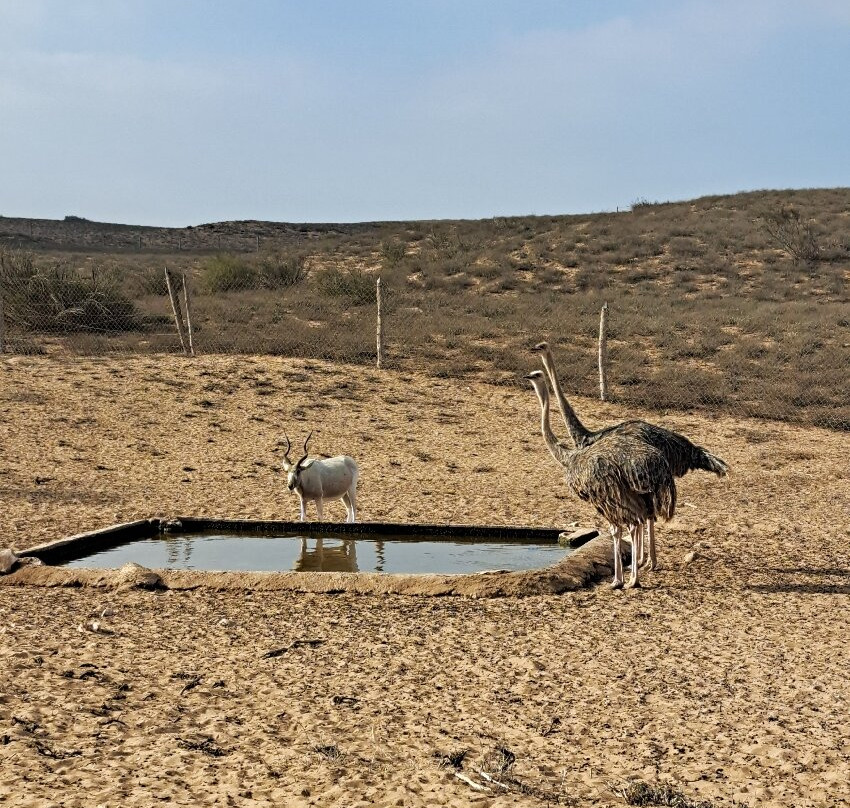 Parc Nacional de Souss-Massa-Takate必去景点