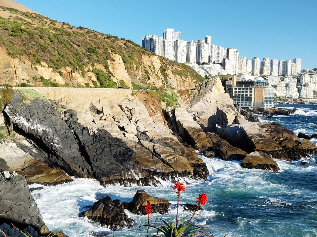 Roca Oceanica-Concon必去景点