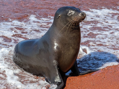 Aludi Travel-马丘比丘必去景点
