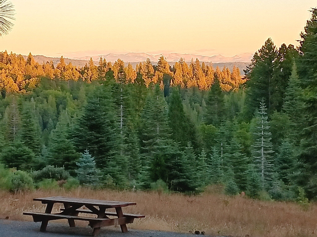 Snowy Peaks Tree Farm-Foresthill必去景点