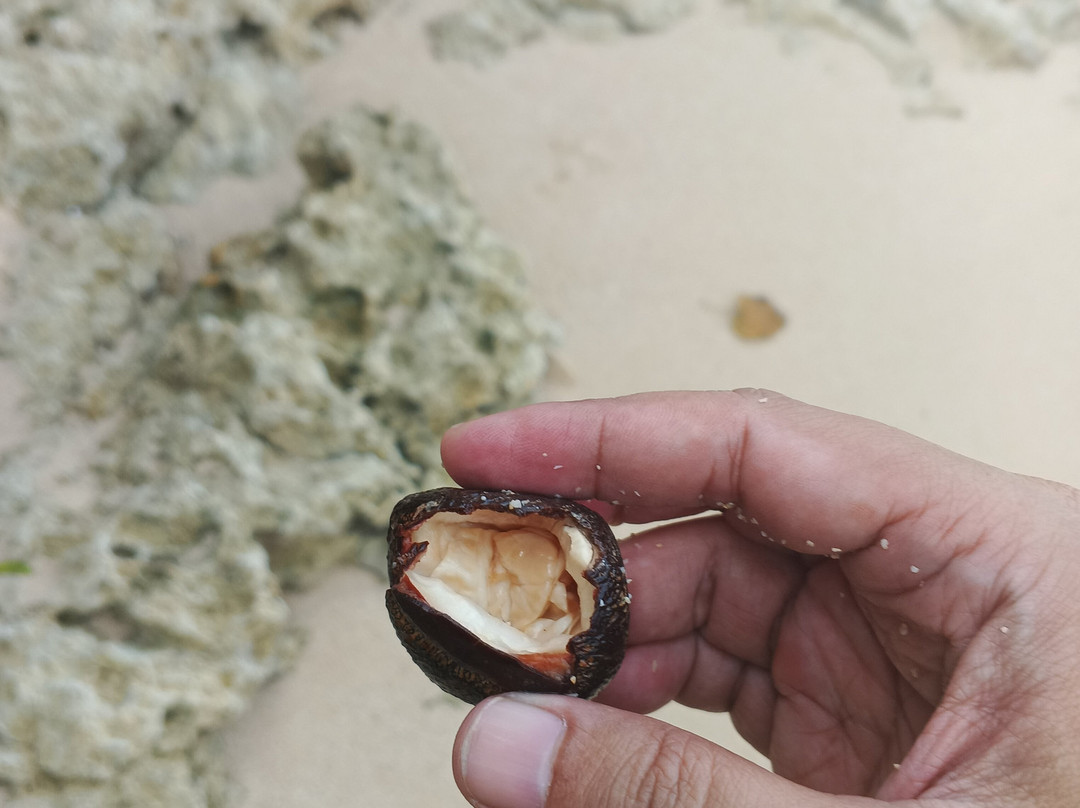 Pangi Beach-勿里达必去景点