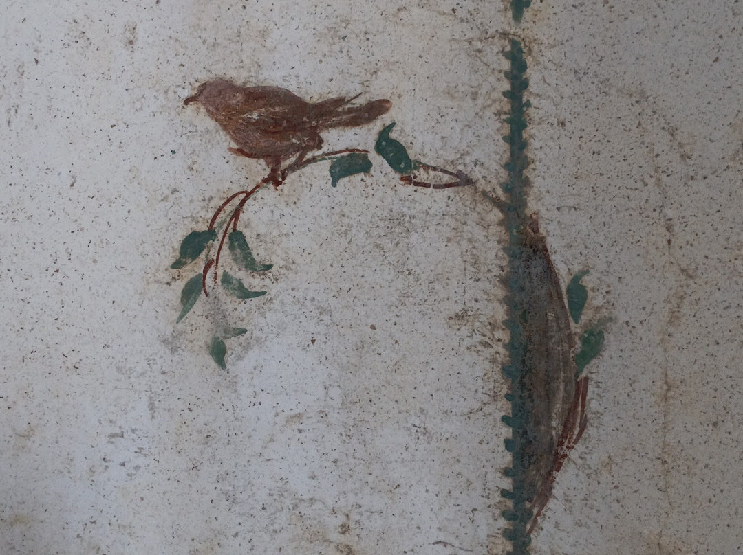 Villa San Marco-斯塔比亚海堡必去景点