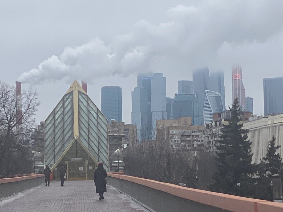 Pushkinskiy / Andreyevskiy  Bridge-莫斯科必去景点