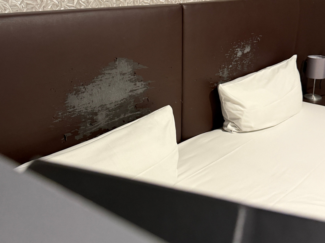 Trip Inn Conference, Hotel & Suites主图