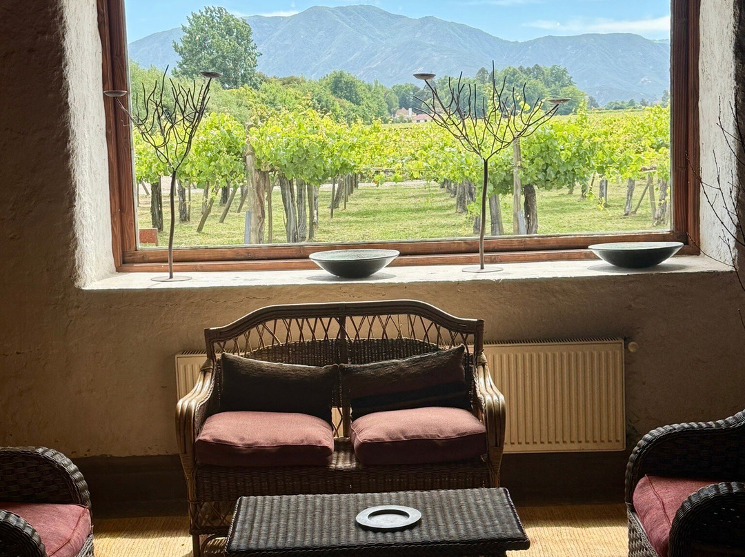 Colchagua Wine Tours-圣克鲁斯必去景点