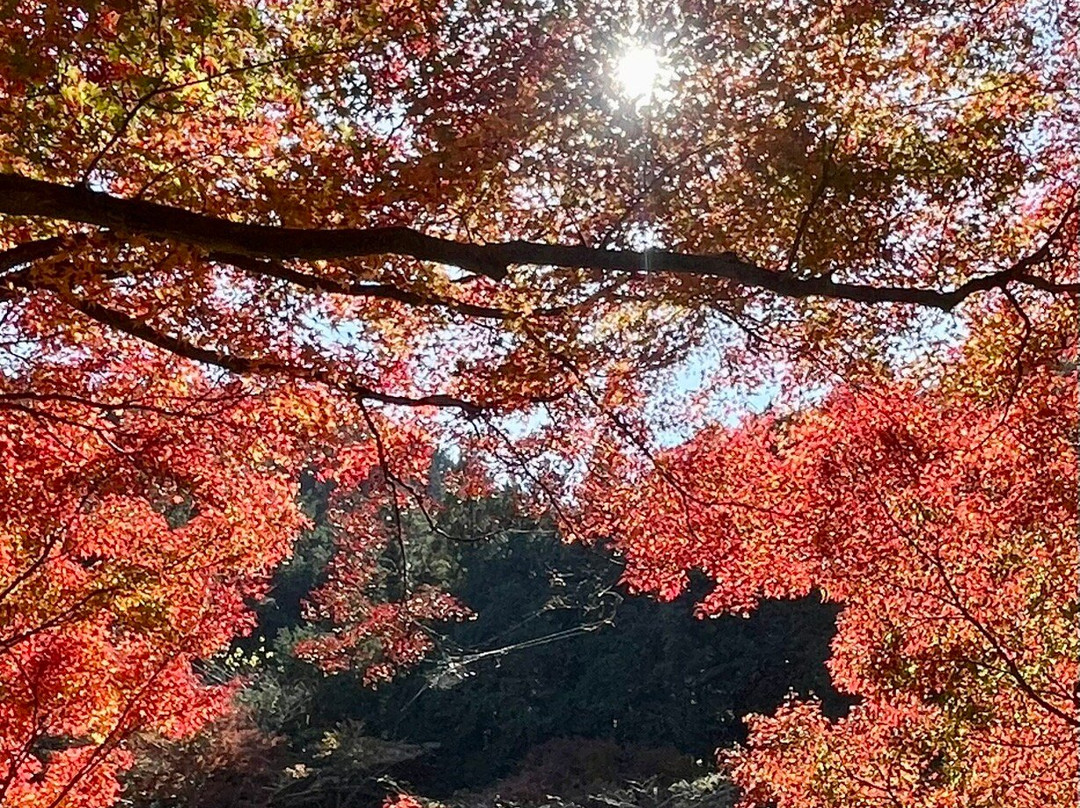 Mt. Takao Chairlift-八王子市必去景点