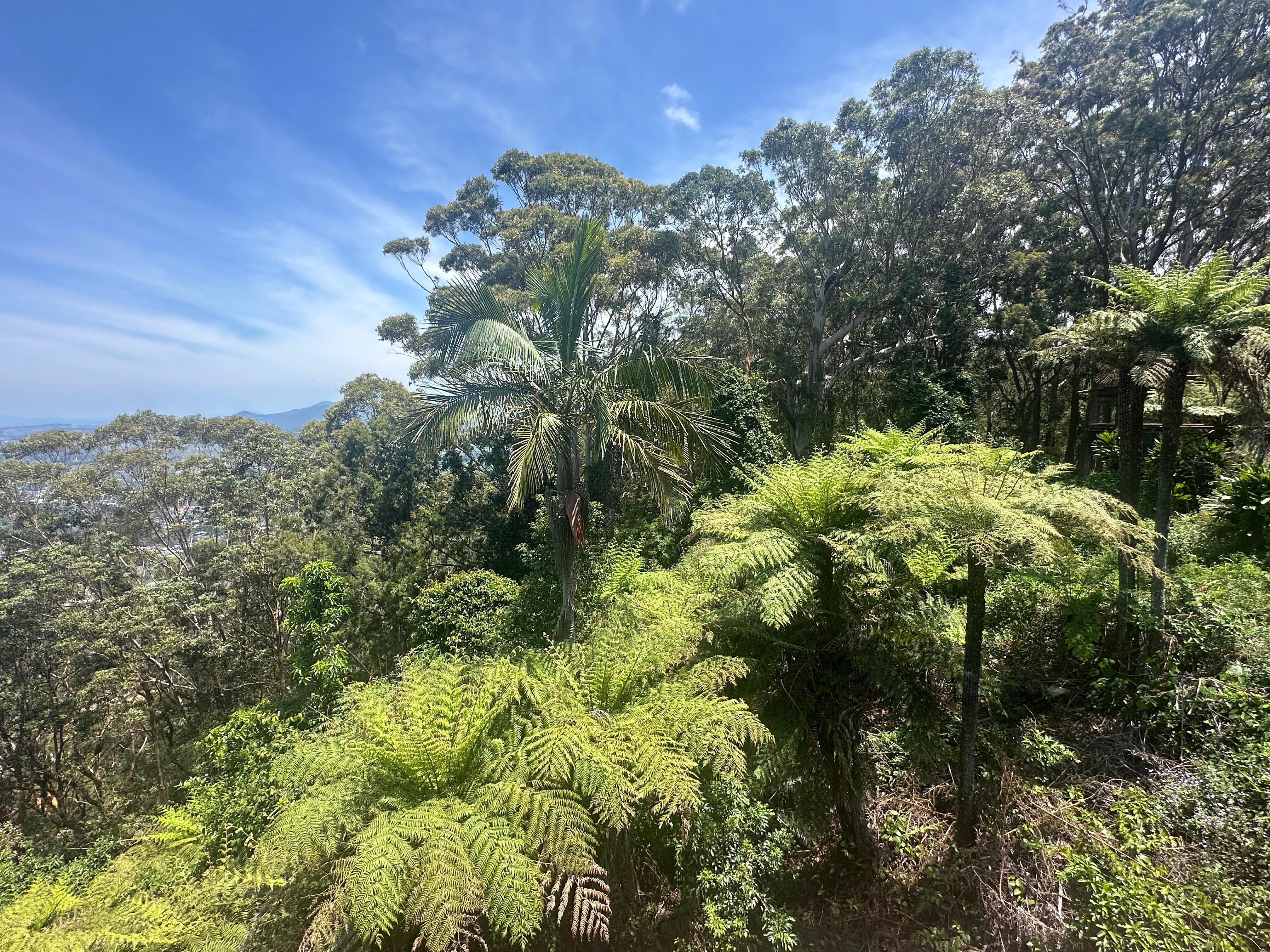 Pacific Bay Resort-官方