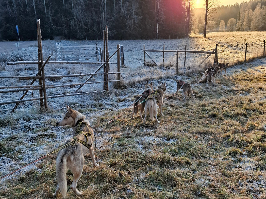 Arctic Expedition-埃斯波必去景点