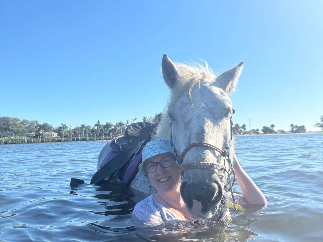 Florida Beach Horses-布雷登顿必去景点