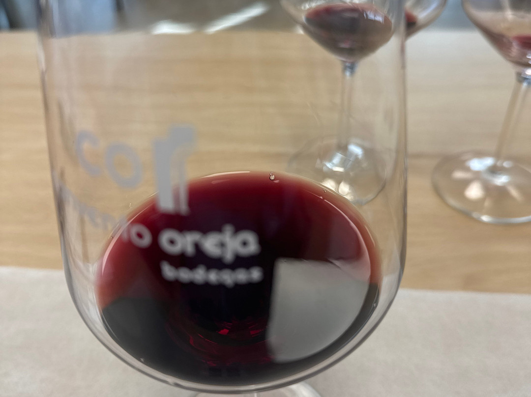 Bodega Convento Oreja-Penafiel必去景点