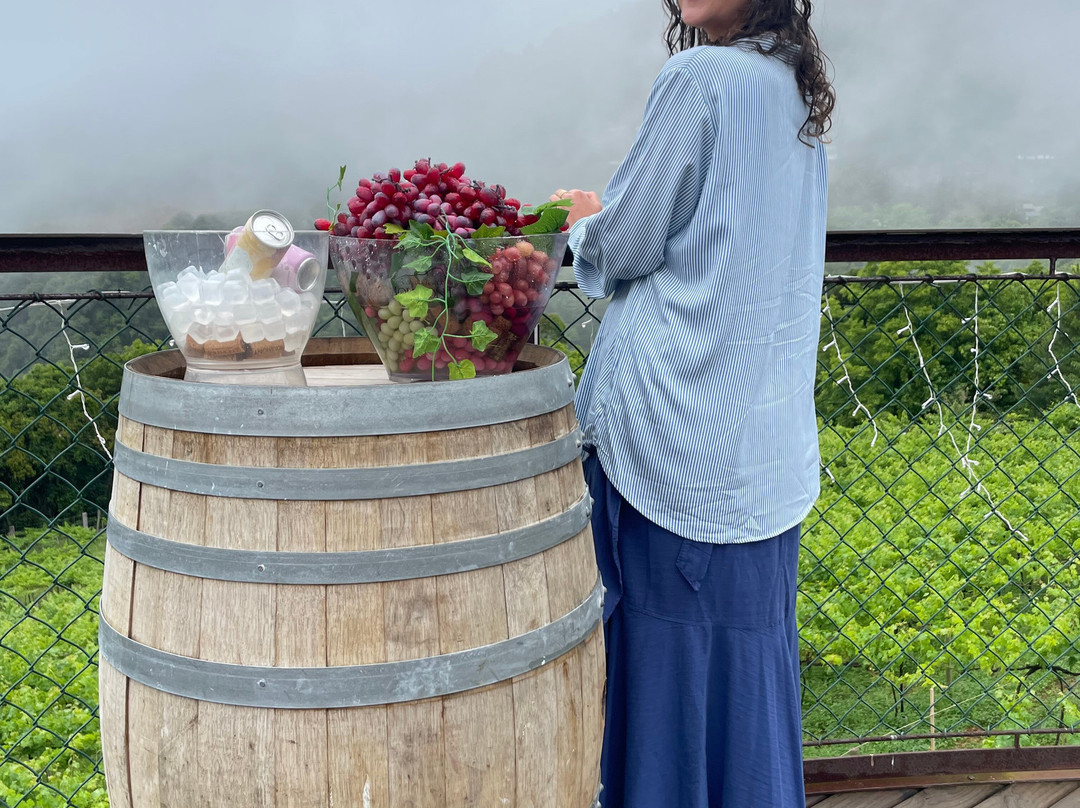 Vitivinicola Jolimont-卡内拉必去景点